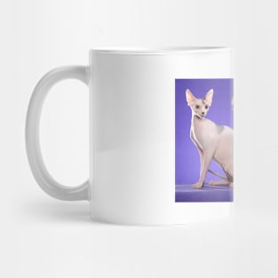 Sphynx Cats Mug